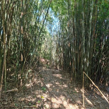 Lindo Sítio de 1.3ha no Treze Colônias, Nova Petrópolis - RS
