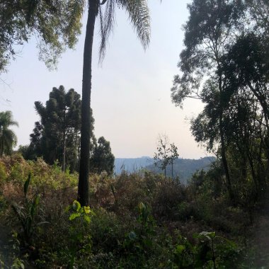 Área de terra com vista 