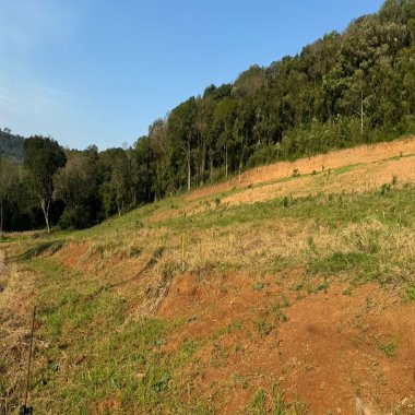 Terreno para Venda no bairro Canto Ackermann em Nova Petrópolis