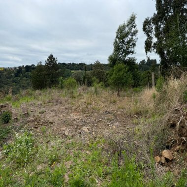 Terreno para Venda em Nova Petrópolis