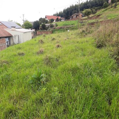 Terreno para Venda em Nova Petrópolis