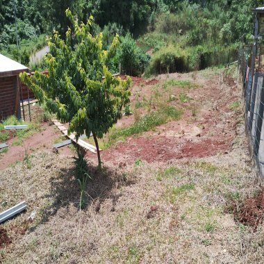 Terreno para Venda no bairro Bairro Piá em Nova Petrópolis