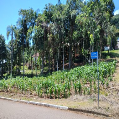 Terreno para Venda no bairro Vale Verde em Nova Petrópolis