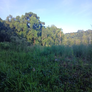 Terreno para Venda no bairro linha Inperial em Nova Petrópolis